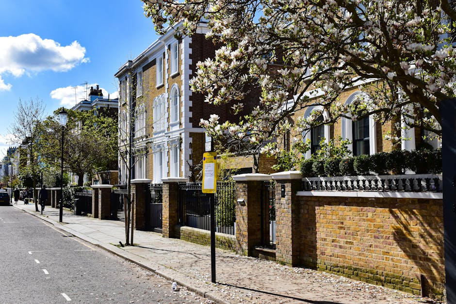 Photograph of a residential street during daytime showing a row of Victorian-style terraced houses with bay windows and terracotta-tiled roofs, lined along a paved pavement on the right side, which fe